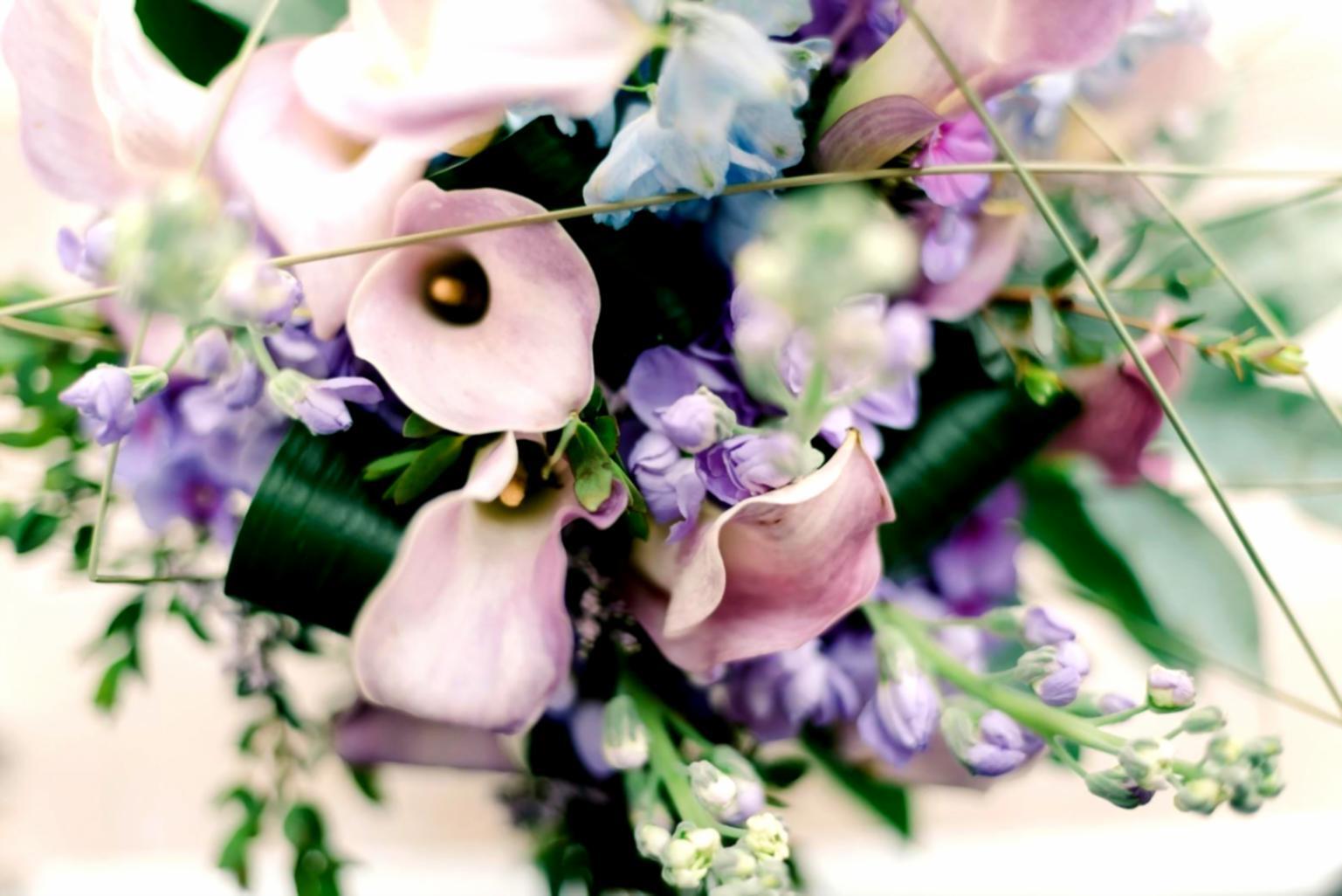 Flower anatomy and botanical knowledge